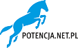 tabletki na potencję